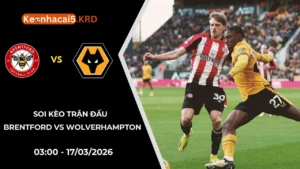 Soi Kèo Trận Brentford vs Wolverhampton | 03:00 - 17/03/2026